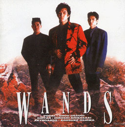 WANDSジャケット画像