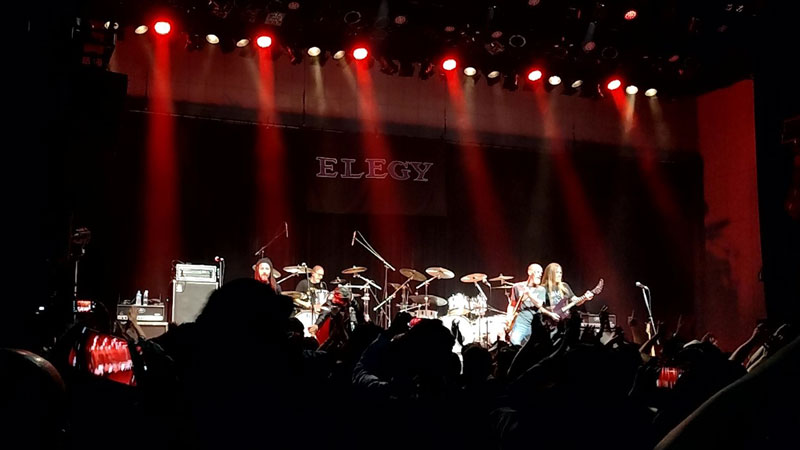 ELEGY Xe[W摜